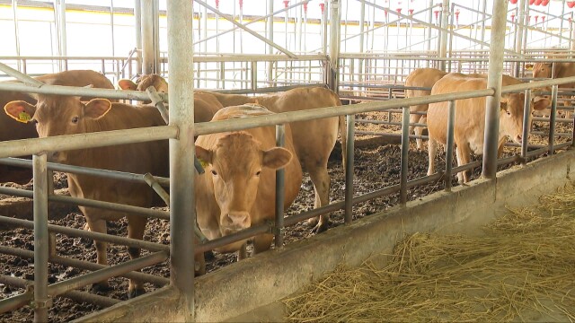 전남도, '스마트 축산 패키지 보급 사업' 모집