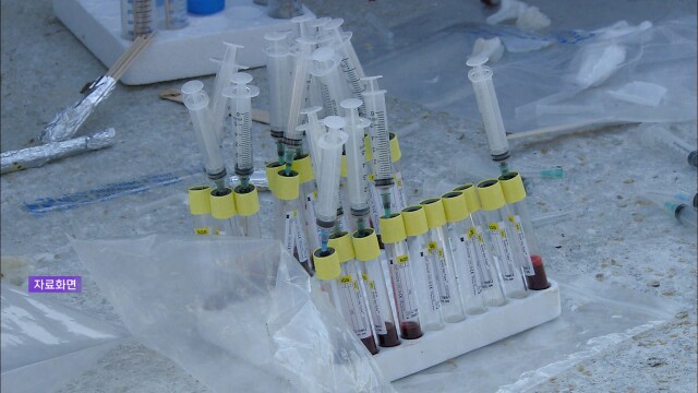 곡성 오리 농장 조류 인플루엔자 항원 검출