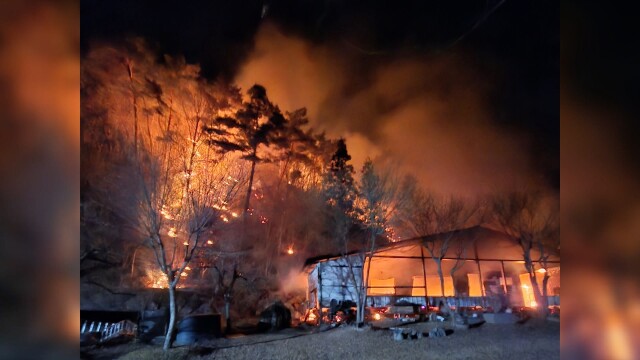 곡성 야산에서 산불... 가용자원 총투입