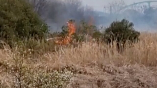 광주 황룡강변 갈대밭 일대에서 불