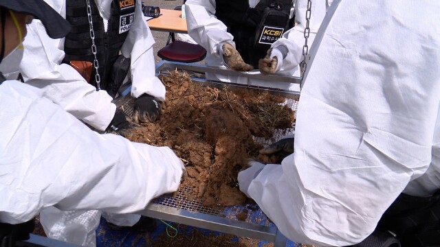 제주항공 참사 현장 재수색 재개..이틀만에 75점 발견