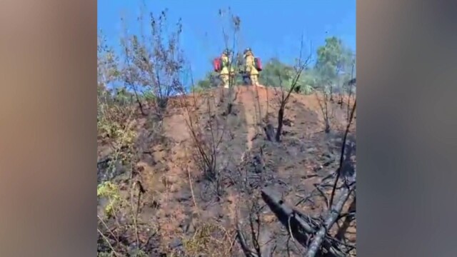 화순 화학산서 산불..담배꽁초 발화 추정