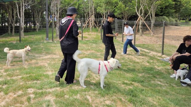 광주 최초 반려견놀이터.. 풍암생활체육공원 30일 개장